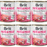 BRIT Pate&Meat puppy 6x800 g paštika pro štěňata
