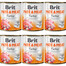 BRIT Pate&Meat Turkey 6x800 g paštika s krůtím masem
