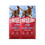CARNILOVE Active Dog Salmon & Turkey Adult 2x12 kg losos a krůta, pro dospělé psy