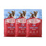 CARNILOVE Active Dog Salmon & Turkey Puppies 3x4 kg losos a krůta, pro rostoucí štěňata