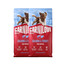 CARNILOVE Active Dog Salmon & Turkey Puppies 2x12 kg losos a krůta, pro rostoucí štěňata