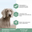 Daily Care Adult Sensitive Joints 12 kg