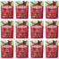 CARNILOVE Dog Soft Snack Quail 12x200g měkké pamlsky s křepelkou pro dospělé psy