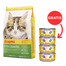 JOSERA Kitten GrainFree krmivo pro koťata 10 kg + 4 konzervy ZDARMA