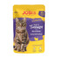JOSERA JosiCat Bohaté na krůtí v omáčce 85 g krmivo pro kočky