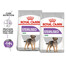 ROYAL CANIN CCN Mini Sterilised – suché krmivo pro dospělé psy malých plemen, kastrované, 8 kg