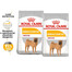 ROYAL CANIN CCN Medium Dermacomfort 2x12 kg suché krmivo pro dospělé psy středních plemen s citlivou kůží