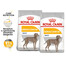 ROYAL CANIN CCN Maxi Dermacomfort 2x12 kg suché krmivo pro dospělé psy velkých plemen s citlivou kůží náchylnou k podráždění