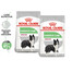 ROYAL CANIN CCN Medium Digestive Care 2x12 kg suché krmivo pro dospělé psy středních plemen s citlivým zažívacím traktem