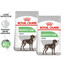 ROYAL CANIN CCN Maxi Digestive Care 2x12 kg suché krmivo pro dospělé psy velkých plemen s citlivým zažívacím traktem
