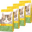 JOSERA Kitten GrainFree Sucha karma dla kociąt 4x2 kg