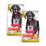 HILL'S Science Plan Canine Adult Large Perfect Digestion Chicken and Brown Rice 2x14 kg – krmivo pro zdravé trávení pro velké psy