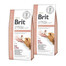 BRIT Veterinary Diets Dog Renal 2x12 kg Veterinární krmivo pro dospělé psy trpící selháním ledvin
