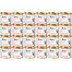 BRIT Veterinary Diet Hypoallergenic Salmon & Pea pro kočky s alergiemi 24x200 g