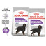 ROYAL CANIN CCN Maxi Sterilised 2x12 kg suché krmivo pro dospělé psy, velká plemena, sterilizované