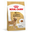 ROYAL CANIN Golden Retriever Adult 15 kg karma sucha dla psów dorosłych rasy golden retriever