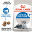 ROYAL CANIN Indoor 7+ 0.4 kg granule pro stárnoucí kočky žijící uvnitř
