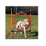 TRIXIE Agility kruh proskakovací 78 x 115cm