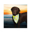 TRIXIE Reflexní šátek pro psa XS - S  22 - 28 cm