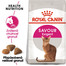 ROYAL CANIN Exigent savour sensation 10 kg+2 kg ZDARMA granule pro mlsné kočky