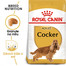 ROYAL CANIN Cocker Adult 3 kg granule pro dospělého kokršpaněla