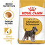 ROYAL CANIN Schnauzer Adult  500g granule pro dospělého knírače