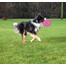 TRIXIE Svítící Dog Disc růžový Ø 20 cm