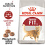 ROYAL CANIN Fit 4 kg granule pro správnou kondici koček