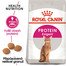 ROYAL CANIN Protein Exigent 2kg granule pro mlsné kočky