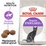 ROYAL CANIN Sterilised 4kg granule pro kastrované kočky