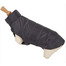 ZOLUX Vesta pro psa vodotěsný límec 25 cm