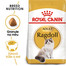 ROYAL CANIN Ragdoll Adult 2kg granule pro ragdoll kočky