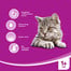 WHISKAS Rybí výběr v želé 4pack 100 g x 4