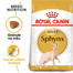 ROYAL CANIN Sphynx Adult 400g granule pro sphynx kočky