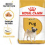 ROYAL CANIN Pug Adult 1,5 kg granule pro dospělého mopse