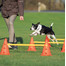 Trixie Dog Activity překážky (3 ks) 23 x 30 cm/78 cm oranž/žlutá