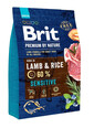 BRIT Premium By Nature Sensitive Lamb 3 kg