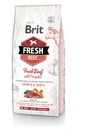 BRIT Fresh Beef & Pumpkin Puppy Large 12 kg