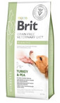 Veterinary Diets Dog Diabetes 12 kg
