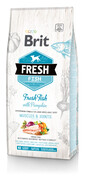 Fresh fish with pumpkin adult large 12 kg