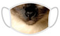 FERA Ochranná rouška Siamská kočka