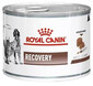 ROYAL CANIN Veterinary Diet Recovery Feline/Canine Can 195 g