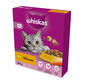 WHISKAS Adult+1 suché krmivo pro kočky s kuřecím masem 800g