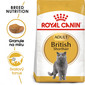 ROYAL CANIN British Shorthair Adult 2kg granule pro britské krátkosrsté kočky