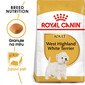 ROYAL CANIN Westie Adult 1,5 kg granule pro dospělého westíka