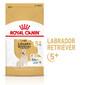 ROYAL CANIN Labrador Retriever Adult 5+ 12 kg krmivo pro labradory starší 5 let