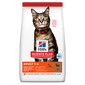 HILL'S Science Plan Feline Dry Adult Lamb&Rice 10kg