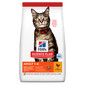HILL'S Science Plan Feline Adult Chicken 10 kg granule pro kočky