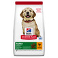 HILL'S Puppy Large Breed Chicken 14,5 kg