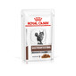 ROYAL CANIN Veterinary Diet Cat Gastrointestinal Moderate Calorie Pouch 12x85g